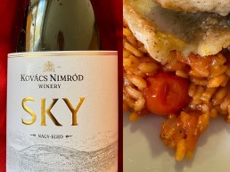 Sky wine and tomato risotto - Daffodil Soup
